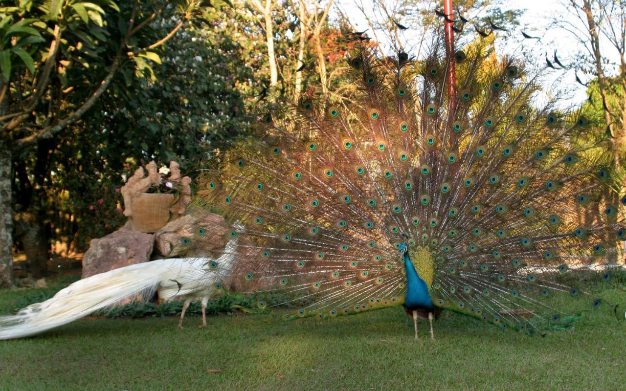 Villa Buonabitacolo เซาโจเอา เดล เฮย์ ภายนอก รูปภาพ